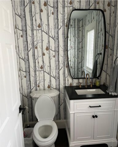 Bathroom remodel